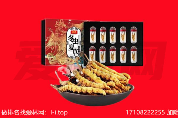 蒲县回收虫草.jpg